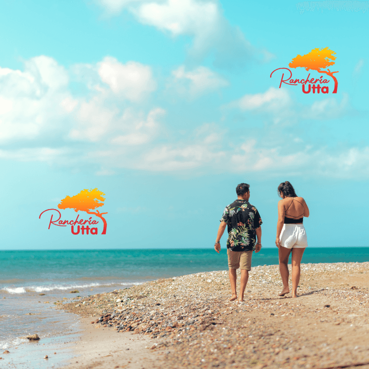 cabo de la vela playas hotel