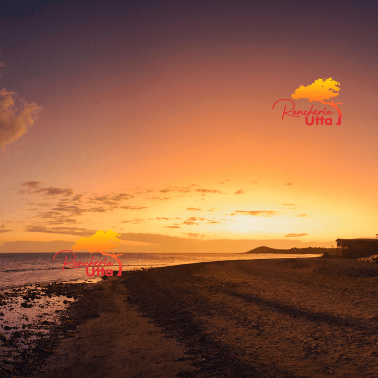 cabo de la vela actividades